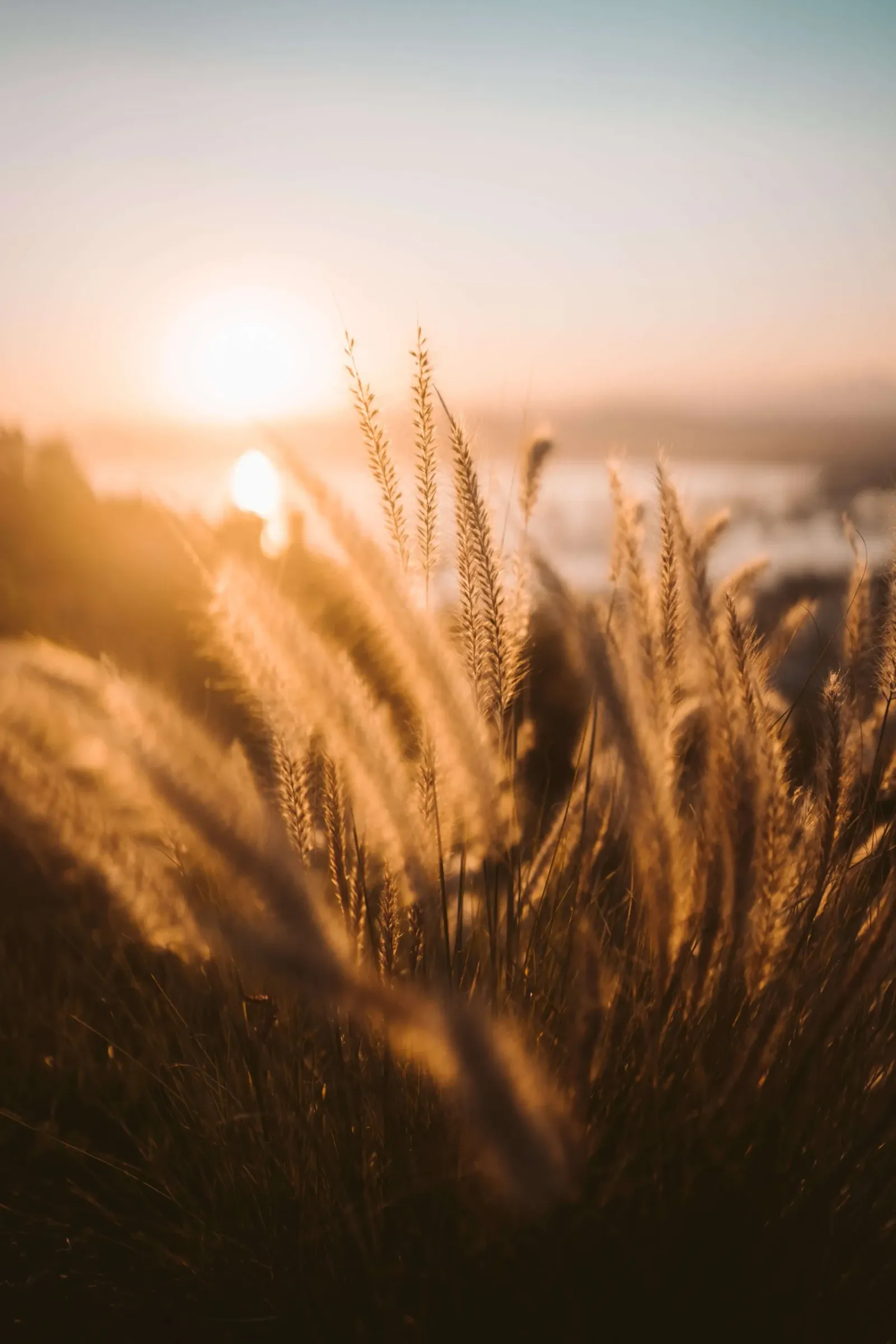Yoga With Georgie — meditation-studio in Hythe and Dibden, Southampton — 3