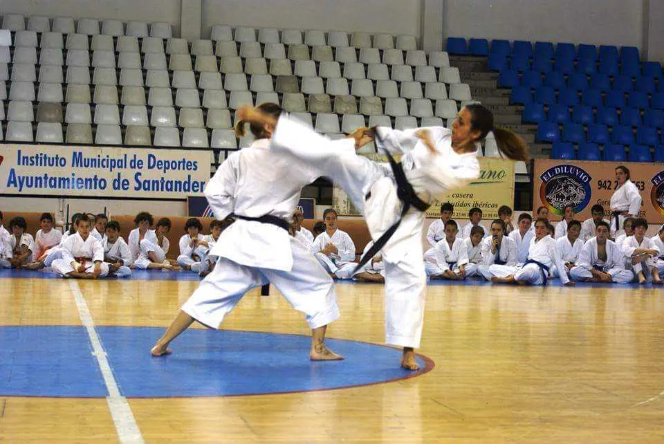 Gyakukan Escuela de Karate — kampsport-studio i Perines, Santander — bild 3