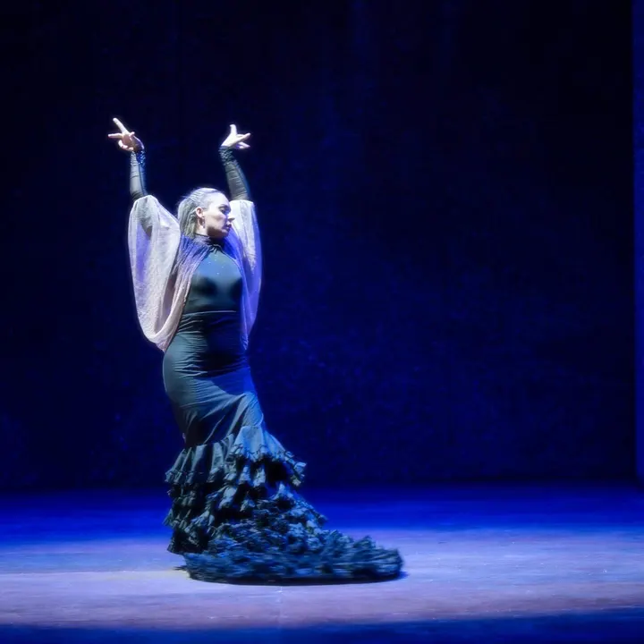 Gran Canaria Flamenco Estudio — baile-studio en Las Palmas de Gran Canaria — 4