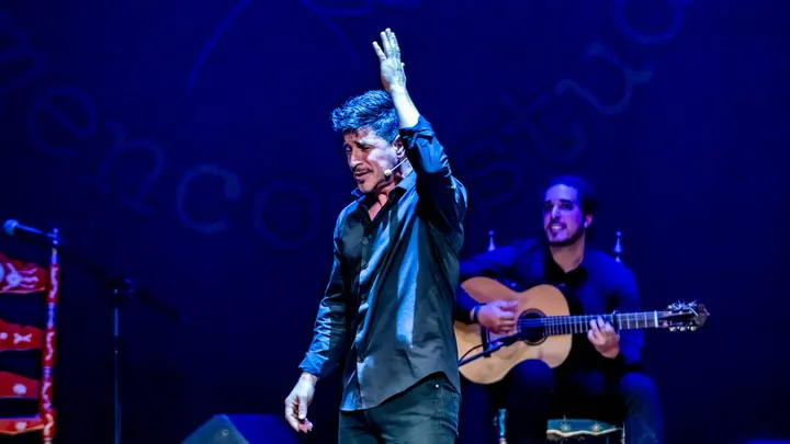 Gran Canaria Flamenco Estudio — baile-studio en Las Palmas de Gran Canaria — 5