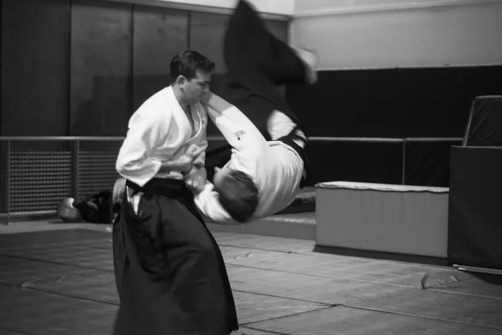 Aikido Traditionnel Marseille Provence — arts martiaux-studio à 12e Arrondissement, Marseille — 2