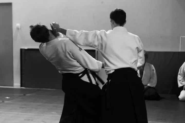 Aikido Traditionnel Marseille Provence — arts martiaux-studio à Marseille — 3