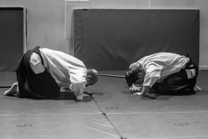 Aikido Traditionnel Marseille Provence — arts martiaux-studio à Marseille — 4