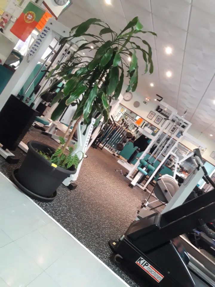 OáSISGYM — ginásio-studio em Lisboa — 2