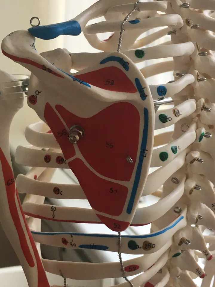 Solbergets Rehab & Fysio — pt-studio i Öster, Växjö — 2