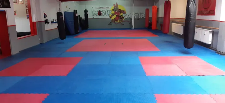 Kick-Boxing-Team Meister Splinter Frankfurt am Main — kickboxen-studio in Frankfurt am Main — 4