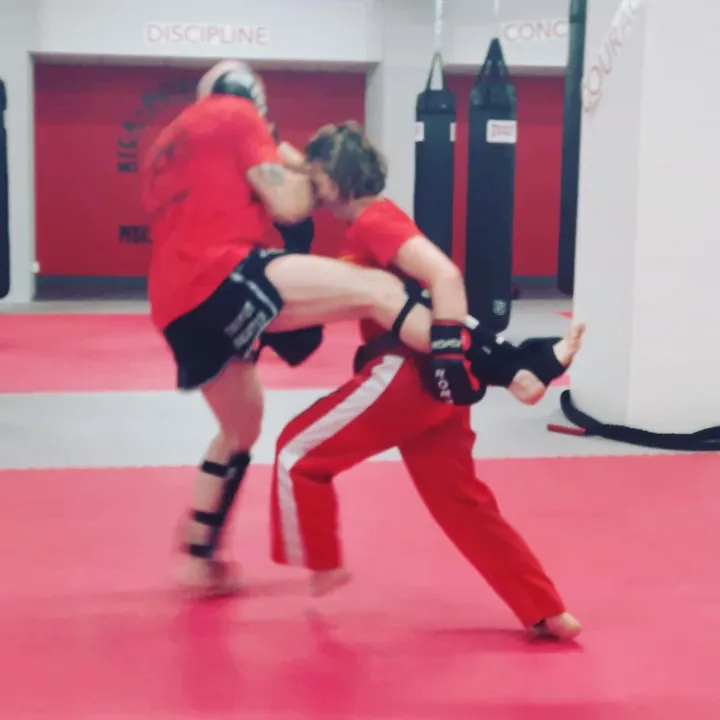 Kick-Boxing-Team Meister Splinter Frankfurt am Main — Kickboxen in Seckbach, Frankfurt am Main