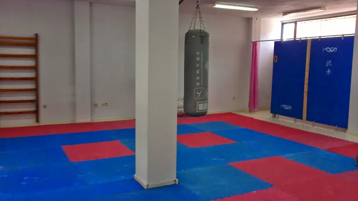 ASOCIACION CHINA ESPAÑOLA DE WUSHU — artes marciales-studio en Zona de los Príncipes — 3