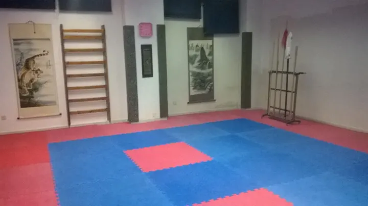 ASOCIACION CHINA ESPAÑOLA DE WUSHU — artes marciales-studio en Zona de los Príncipes — 3