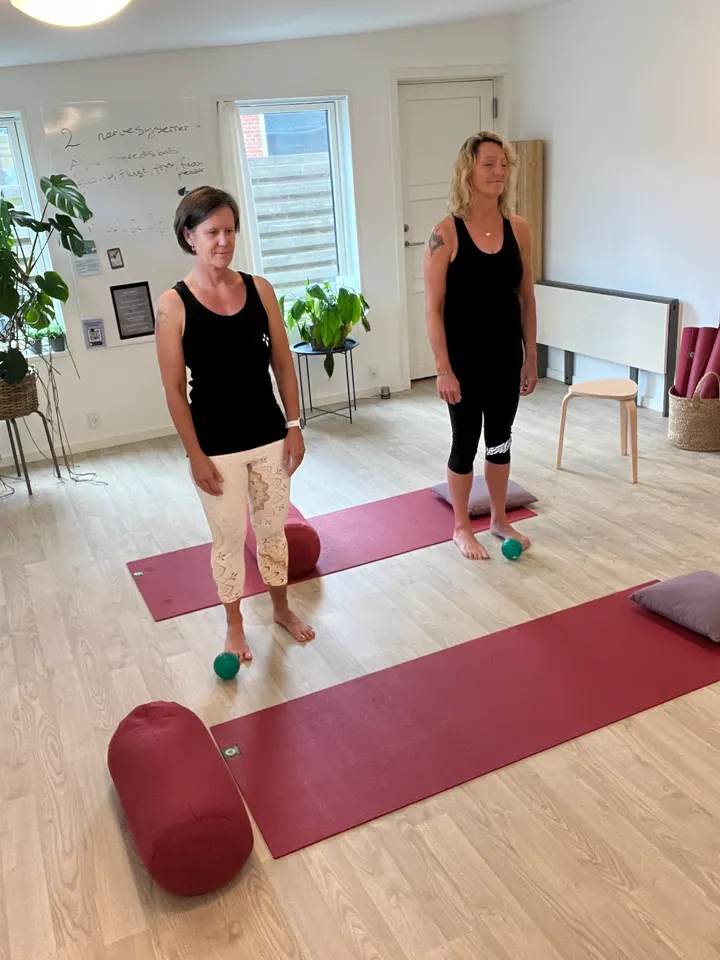 Sans for Livet — meditation-studio i Hvidovre, København — 3
