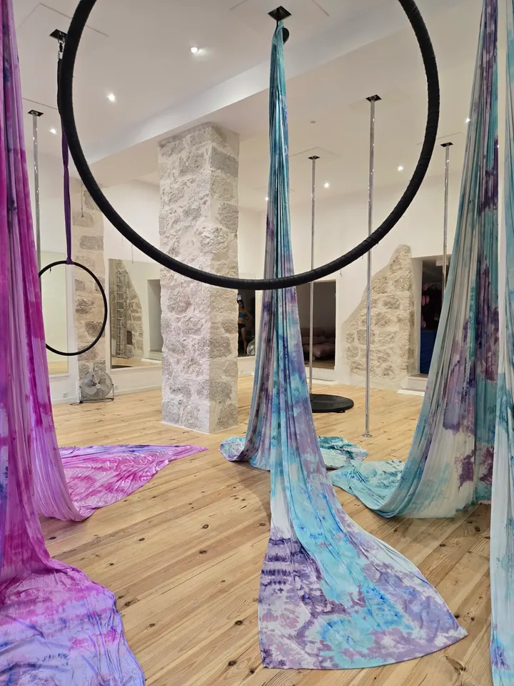 Nice Pole Dance Studio Academy — pole fitness-studio à Carabacel, Nice — 2