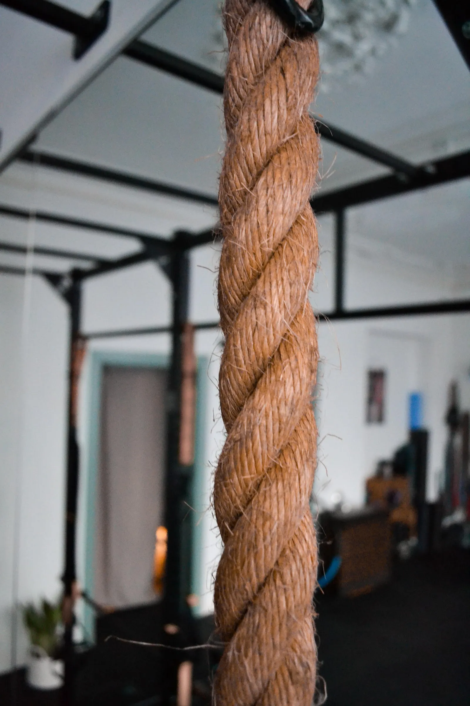 lb personal training — pt-studio in Frankenberger Viertel, Aachen — 3