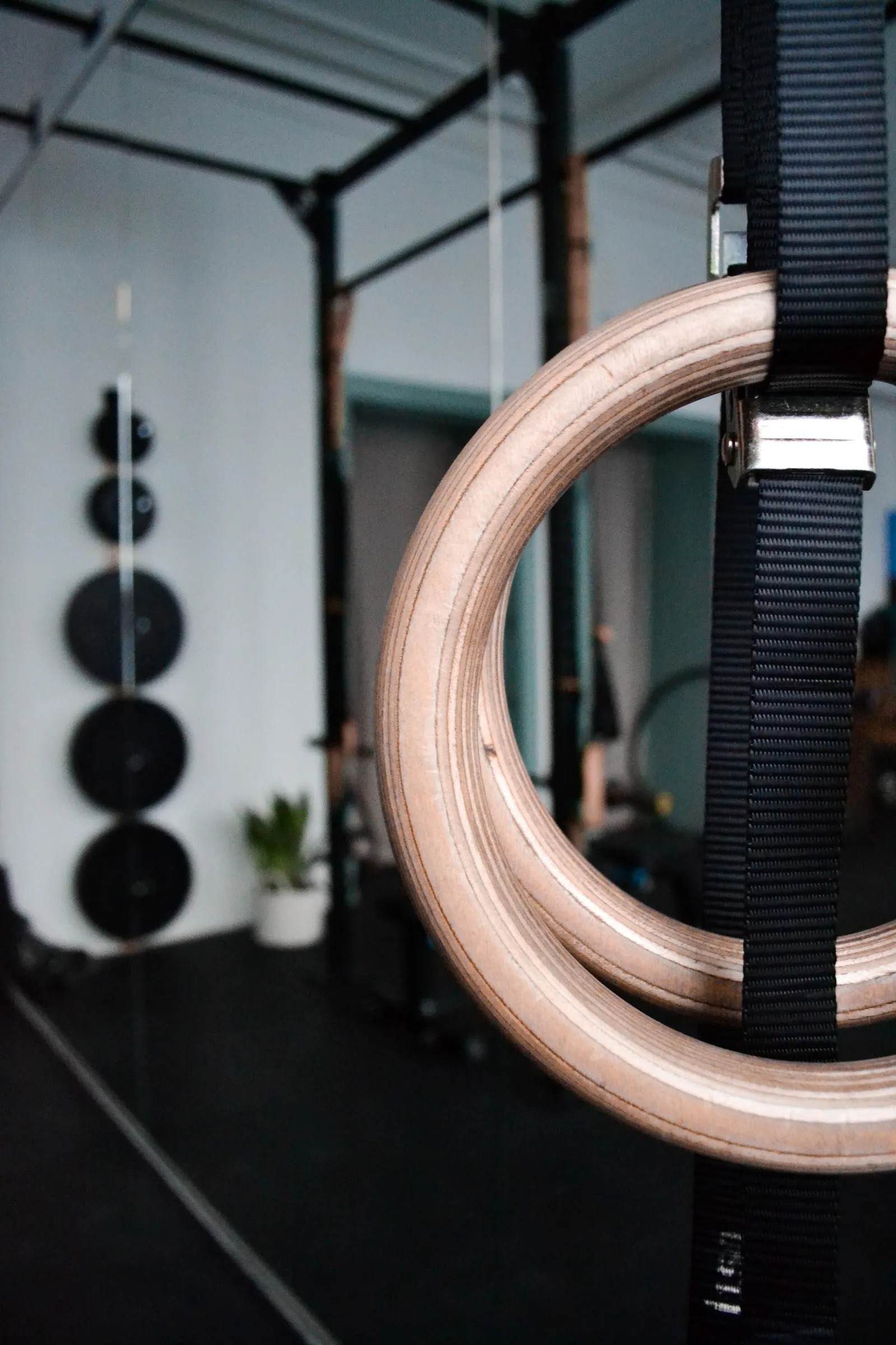 lb personal training — pt-studio in Aachen — 3