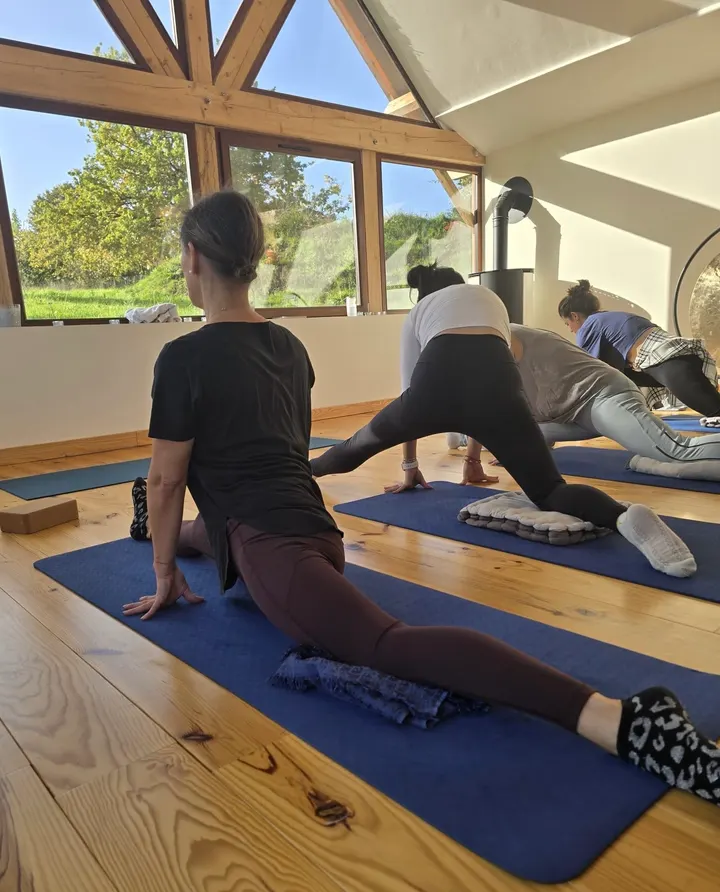 OM MY YOGA - ST Maur — yoga-studio à Saint-Maur-des-Fossés, Paris — 2