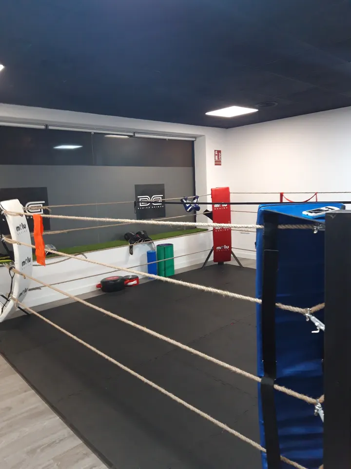 Damián Guinea Boxing Studio — artes marciales-studio en Madrid — 4