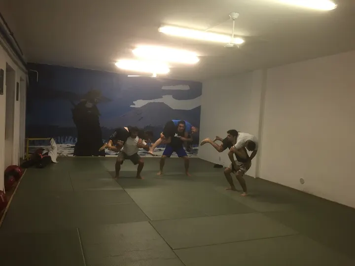 Yoseikan Budo Milano — mma-studio a Washington, Milano — 2