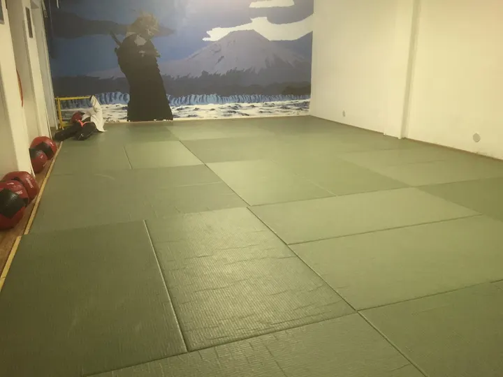 Yoseikan Budo Milano — mma-studio a Washington, Milano — 3