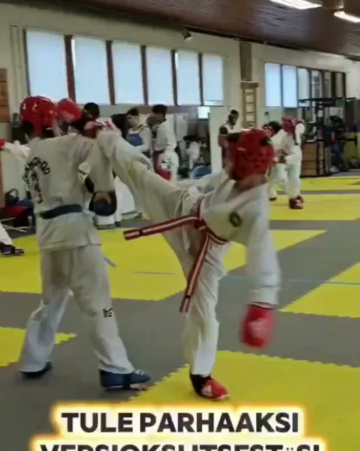 Black Eagle Taekwon-Do — kamppailulajit-studio – Hervanta, Tampere — 2