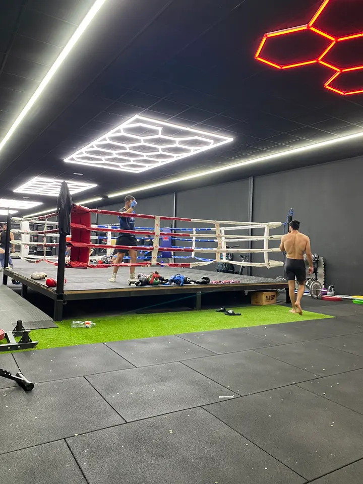 Animal fight gym — estudio de fitness-studio en Los Hueros — 3