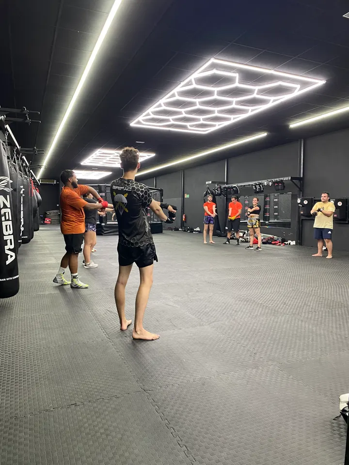 Animal fight gym — estudio de fitness-studio en Los Hueros — 4