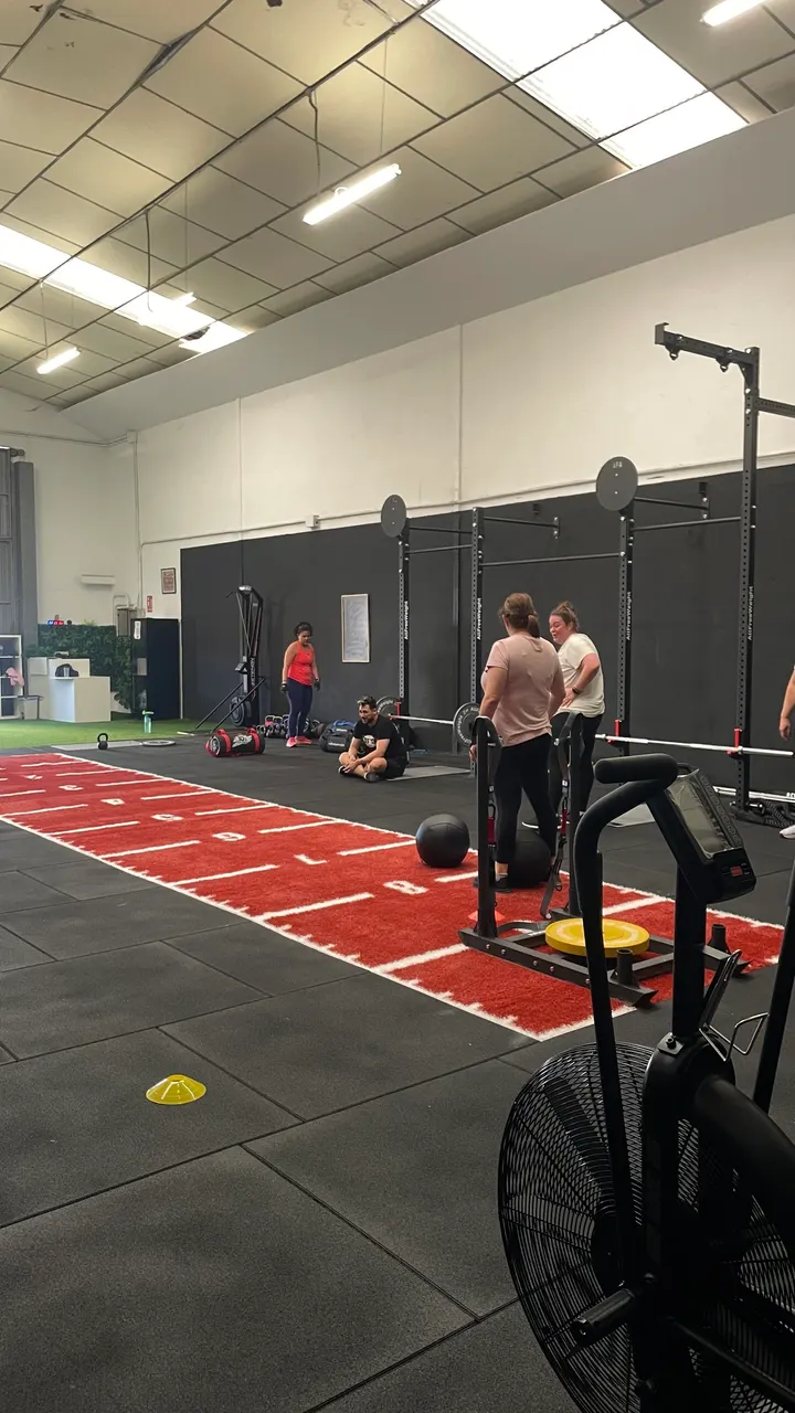 Animal fight gym — estudio de fitness-studio en Los Hueros — 5