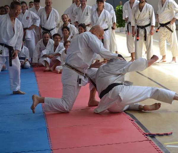 Centro Deportivo SHINGITAI — Martial Arts en Algorós, Elx