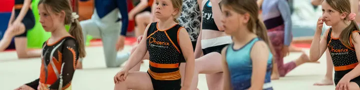 Phoenix Gymnasics — Gymnastics in Camborne