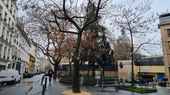 Piscine Jean Taris — studio à Paris — 4