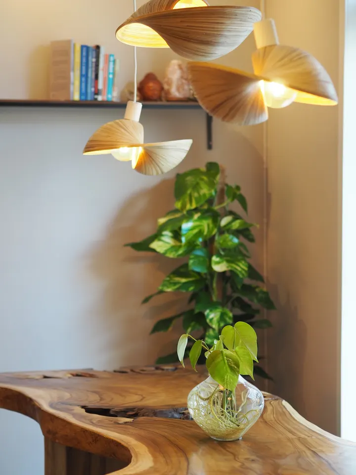 Solli Yoga og Design — Yoga i Grünerløkka, Oslo
