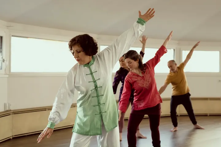 Twins' Qi Gong Plateau central — Méditation à Plateau central, Clermont-Ferrand