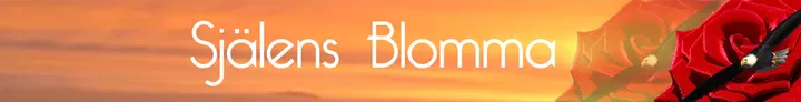 Själensblomma — wellness-studio in Huddinge, Stockholm — 2