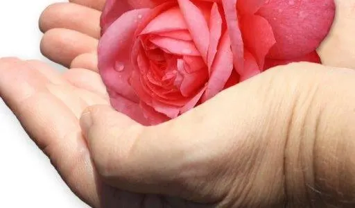 Själensblomma — wellness-studio i Sjödalen, Huddinge
