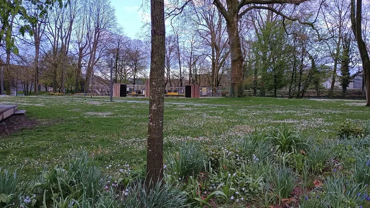 Calisthenics Park | Street Workout Park | Calisthenics-Anlage — fitnessstudio in Heilbronn — 3