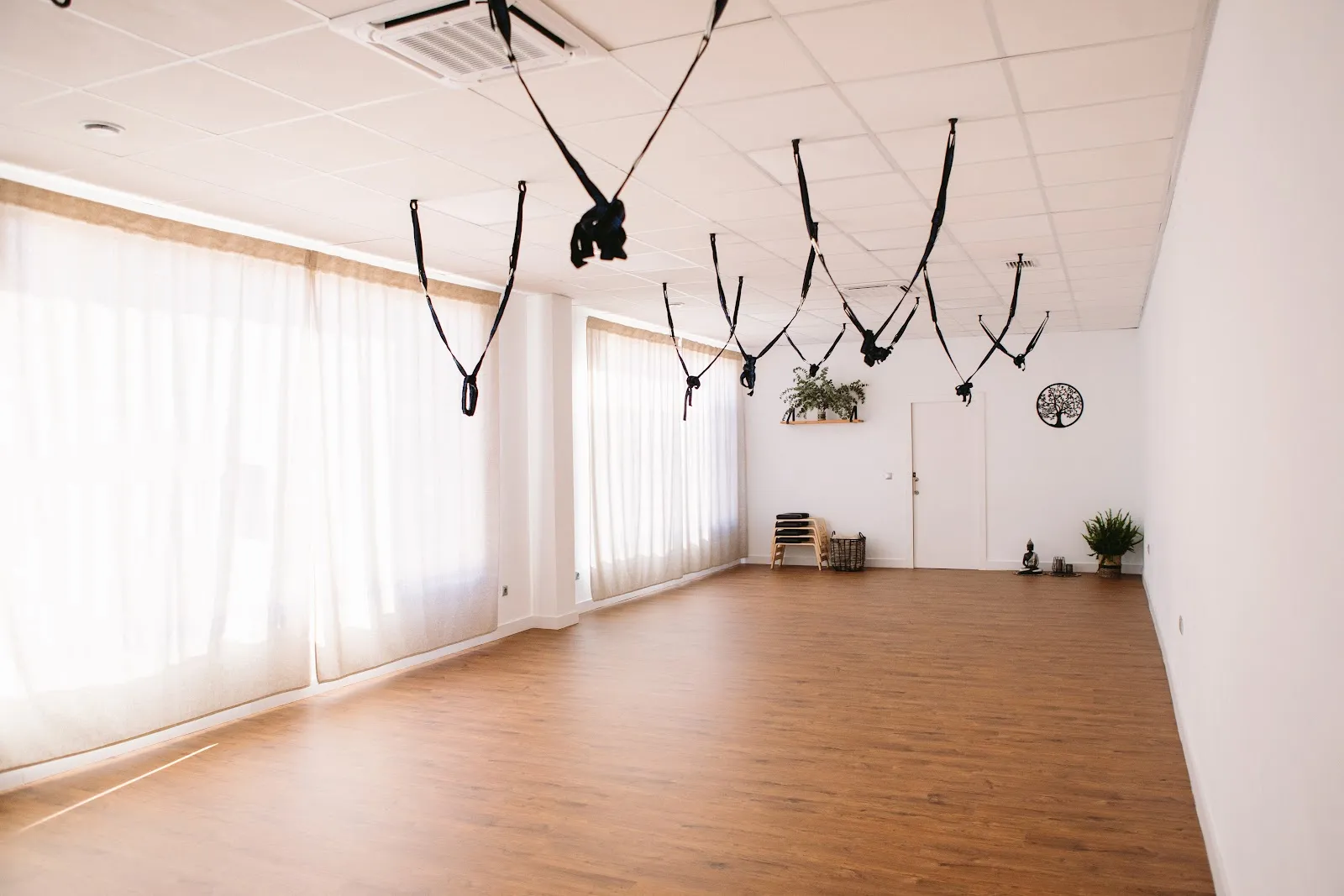 Conexión Yoga y Bienestar — yoga-studio en Albacete — 3