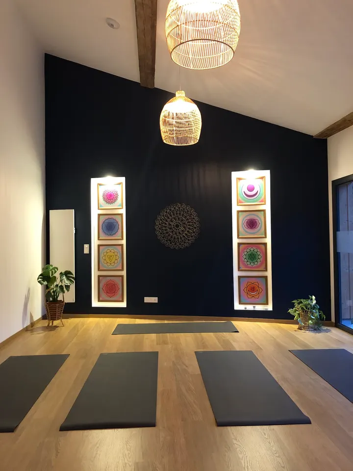 YOGA Ananda Studio Dijon — yoga-studio à Dijon — 2