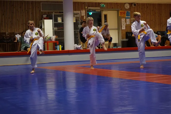 Kristiansand Karate Club — martial arts-studio i Fiskå, Kristiansand
