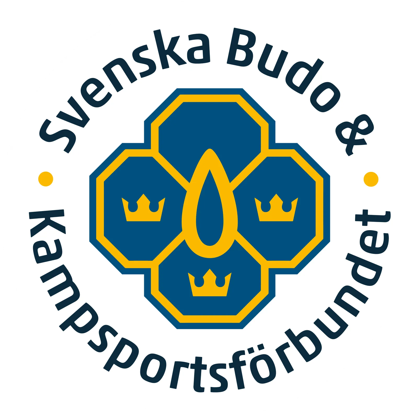 Bushido Akademin IF — kampsport-studio i Sundbyberg — bild 3