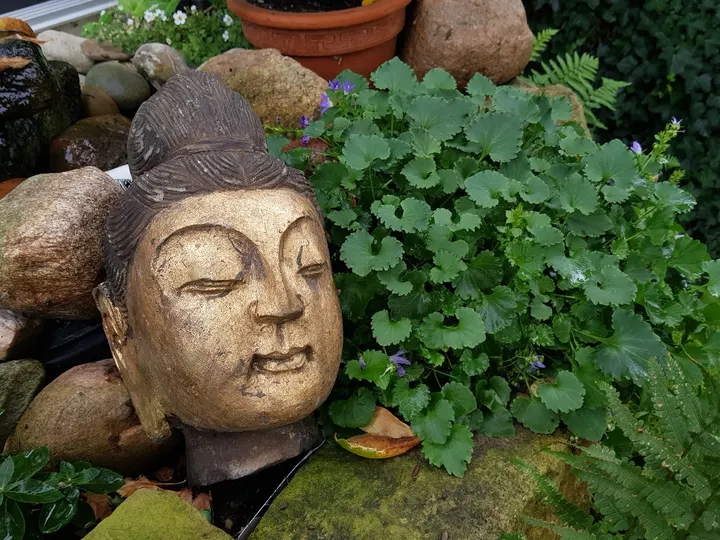 Jetzt ist Yogazeit — yoga-studio in Seelhorst, Hannover — 3