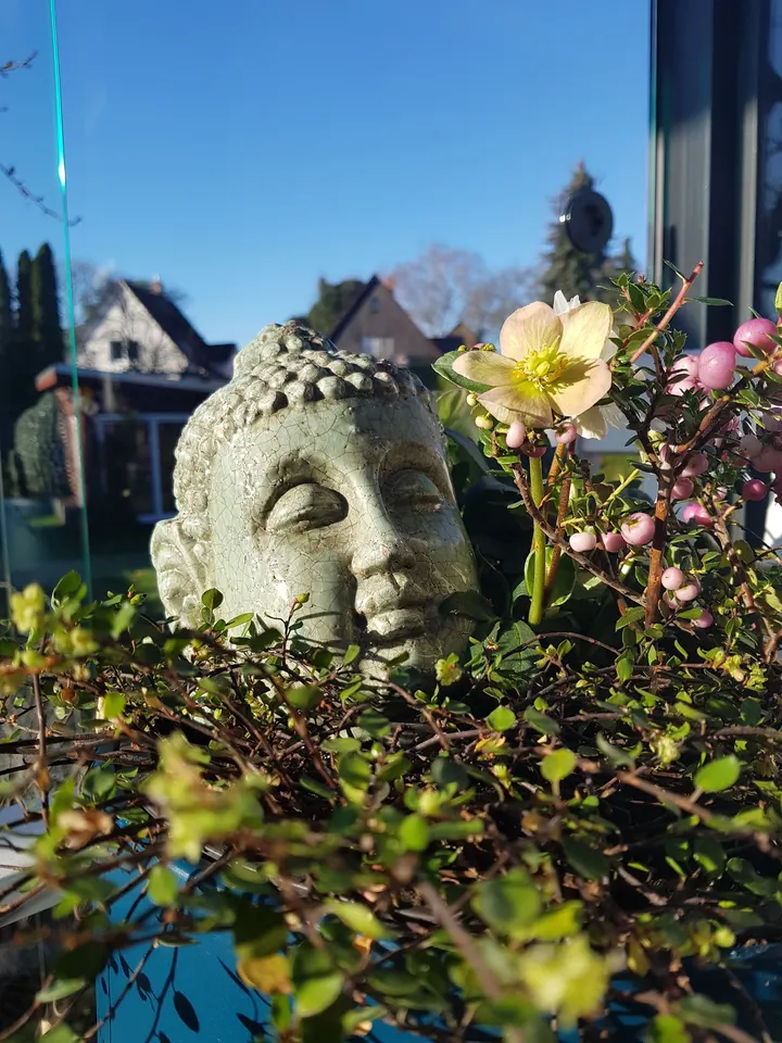Jetzt ist Yogazeit — yoga-studio in Hannover — 3