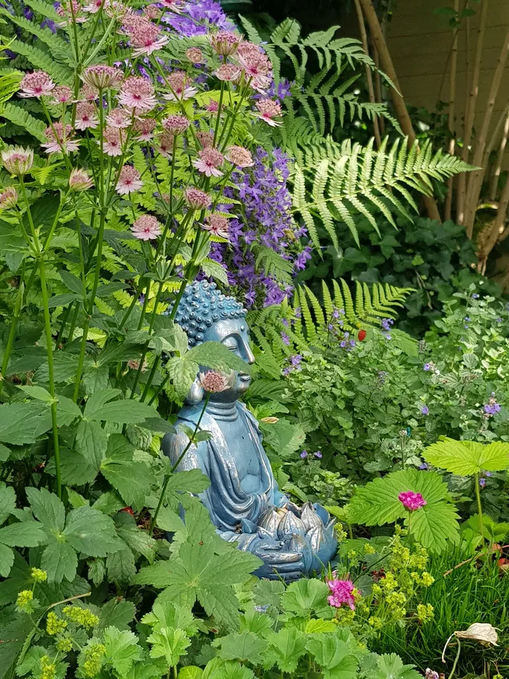 Jetzt ist Yogazeit — yoga-studio in Hannover — 4