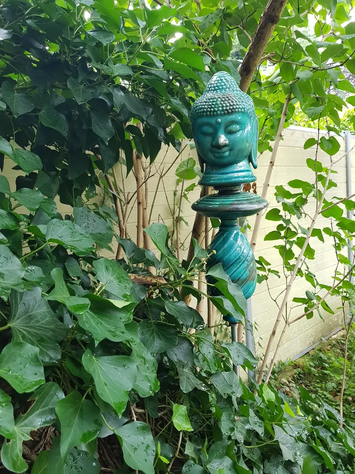 Jetzt ist Yogazeit — yoga-studio in Hannover — 5