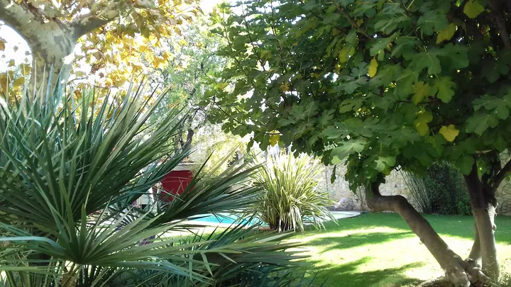 L'Harmonie du Ki Le Figuier — yoga-studio à 8e Arrondissement, Marseille — 3
