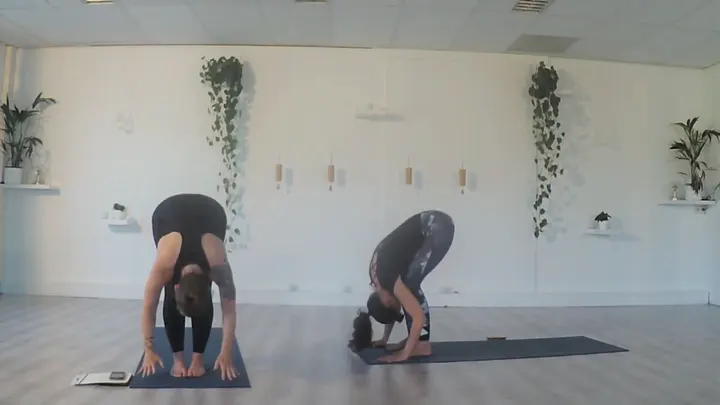 EsTaYoga — yoga-studio in Goes — 4