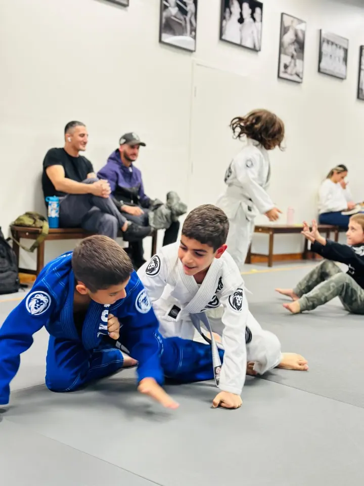 Lions Fight Club — BJJ in Chislehurst, London