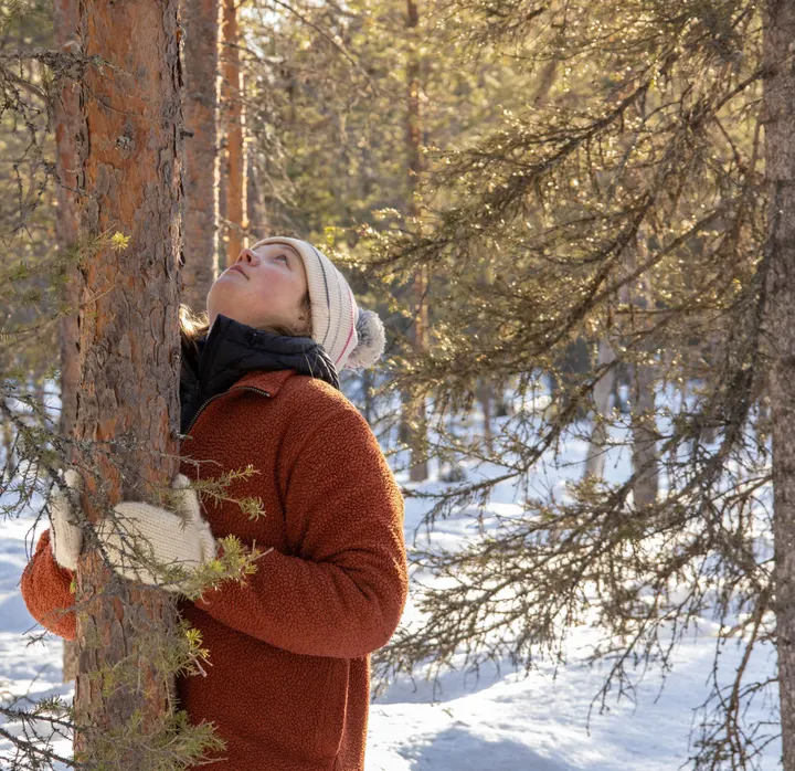 Evergreens Studio — Wellness – Rovaniemi