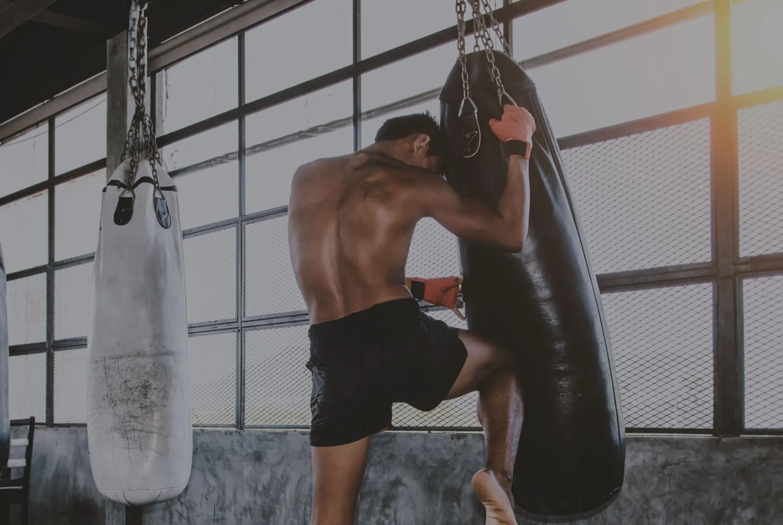 Körperschmniede Hildesheim — boxning-studio i Hannover — 5