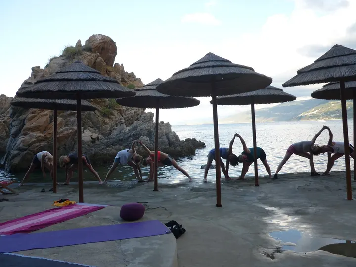 Yoga mit Barbara Bergauer — yoga-studio in Würzburg — 3