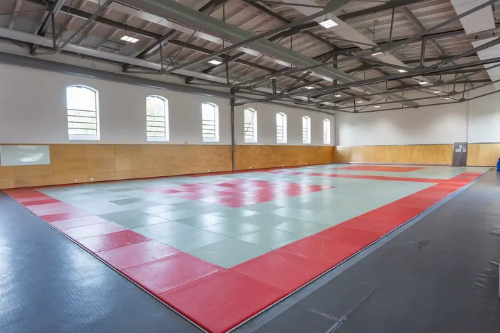 Budo-Club Karlsruhe — kampfsport-studio in Weststadt Mittlerer Teil, Karlsruhe — 2