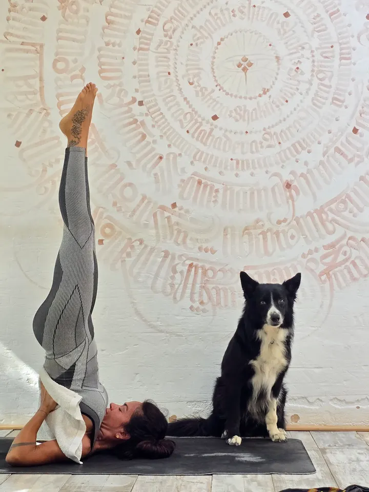 Ashtanga Yoga Ibiza - Sh — Yoga en Santa Gertrudis de Fruitera