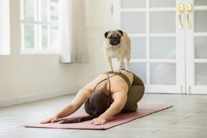 Breathe Yoga and Pilates — yoga-studio in London — 5